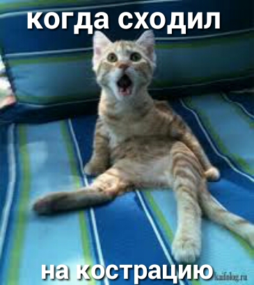 кбгда схЁдил
