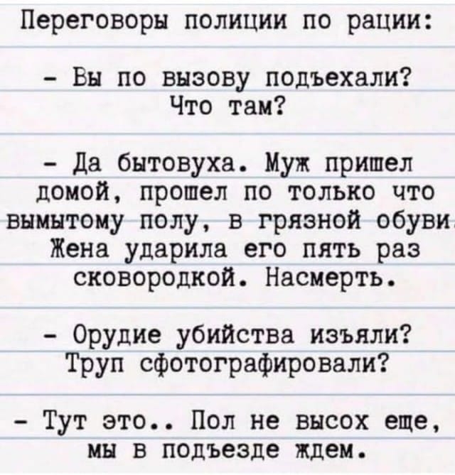 Переговоры полиции по рации Вы по вызову подъехали Что там да бытовуха Муж пришел домой прошел по только что внмнтому полу в грязной обуви Жена ударила его пять раз сковородкой Насмерть Орудие убийства изъяли Труп сфотографировали Тут это Пол не высох еще мы в подъезде ждем