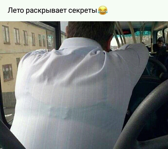 Лето раскрывает секреты