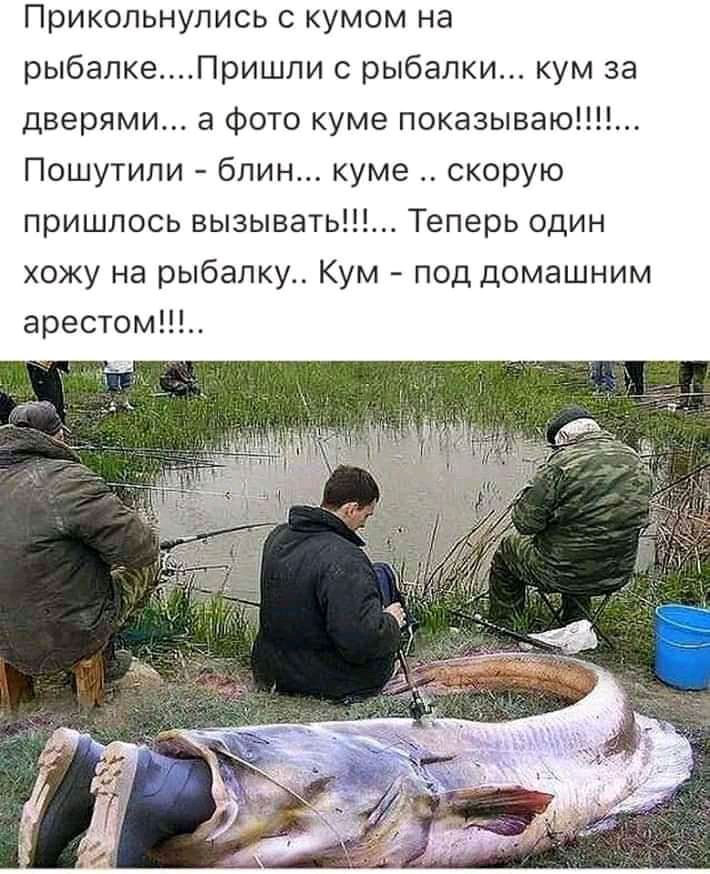 Прикольнулись с кумом на рыбалкеПришпи с рыбалки кум за дверями 3 фото куме показываю Пошутили блин куме скорую пришлось вызывать Теперь один хожу на рыбалку Кум под домашним арестом