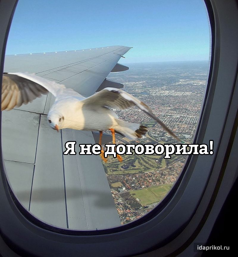 іпаргіКЦЫп