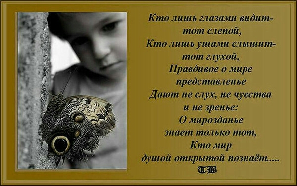 Кныш т ы Кю ниш 0 активации
