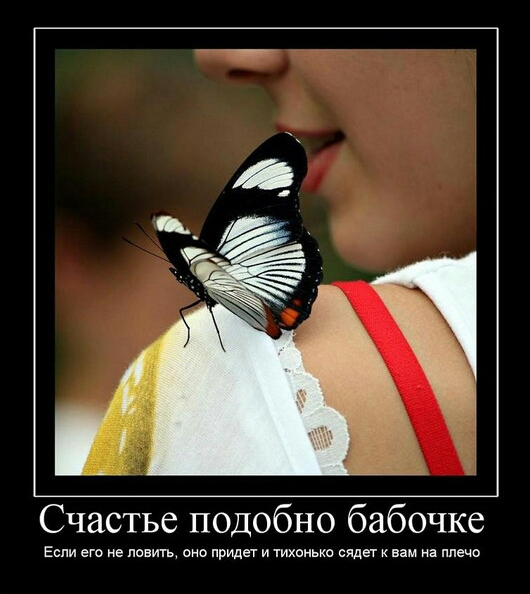 Счастье подобно бабочке Если ею не левиты сно прицеп и тихонько сядет вам на плечо