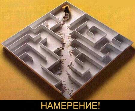 ЕНИЕЕ НАМЕР