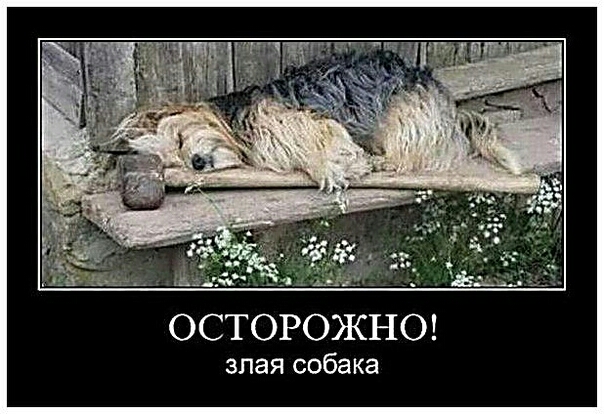 ОСТОРОЖНО злая собака