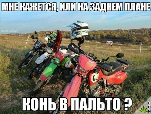 ЮЬ В ШШЬШ
