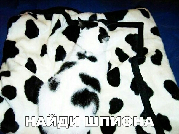 ЙЁШШ НА