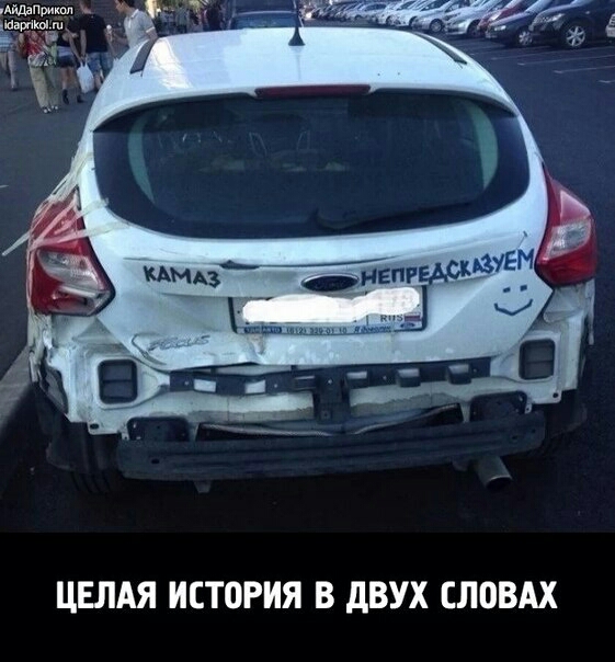 ЦЕЛАЯ ИСТОРИЯ В дВУХ ЕЛОВАХ