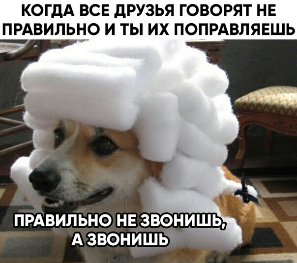 КОГДА ВСЕ дРУЗЬЯ ГОВОРЯТ НЕ ПРАВИЛЫіО И ТЫ ИХ ПОПРАВЛЯЕШЬ прдвильно нв звонишь А звонишв