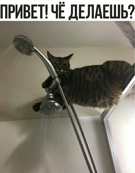 ПРИВЕТ ЧЁ ДЕЛАЕШЬ