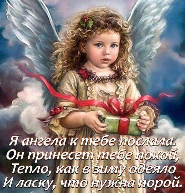 Он принес Тепло ксіёів