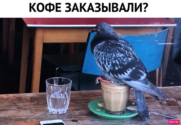 КОФЕ ЗАКАЗЫВАЛИ