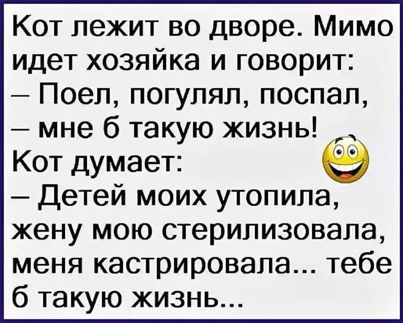 Кот лежит во дворе Мимо идет хозяйка и говорит Поеп погулял поспал мне 6 так ю жизнь у за Кот думает _ Детей моих утопила жену мою стерилизовала меня кастрировала тебе 6 такую жизнь
