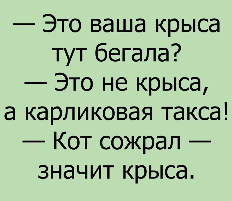 Это ваша крыса тут бегала Это не крыса а карликовая такса Кот сожрал значит крыса