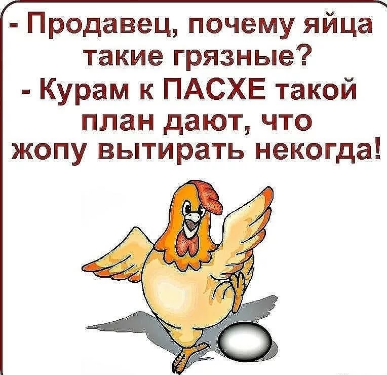 Продавец почему яйца такие грязные Курам к ПАСХЕ такой ППЗН дают ЧТО ЖОПУ вытирать некогда