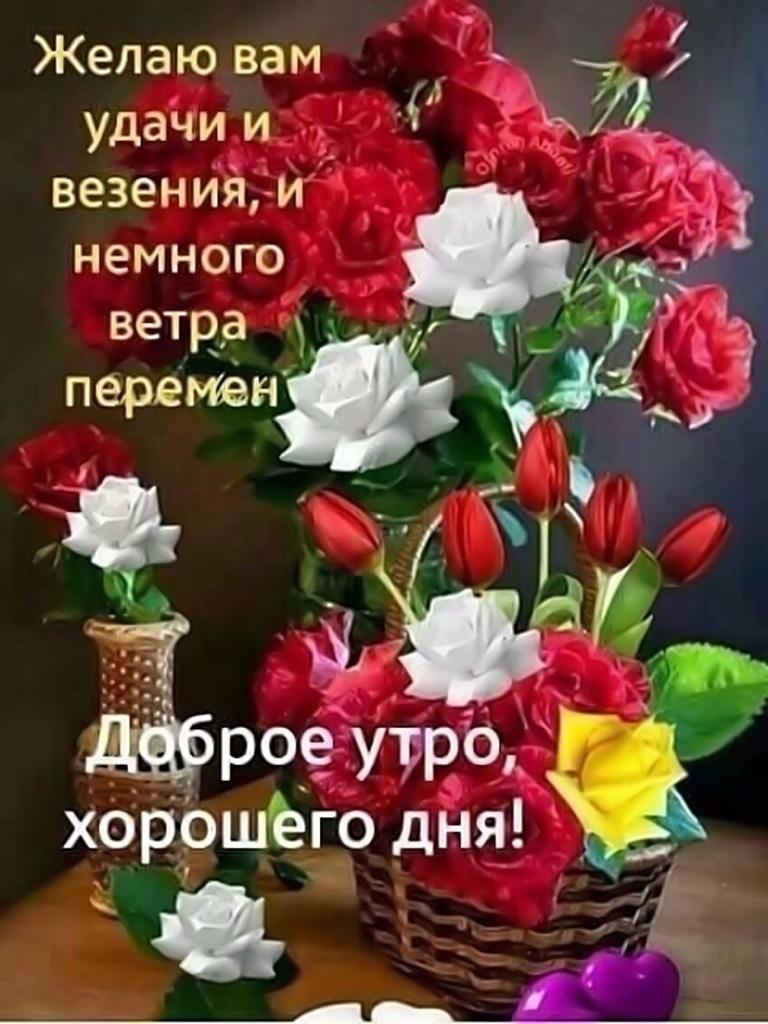 Желаю вам удачии везенийди немного роеугр0 хорошёю дНя _ _