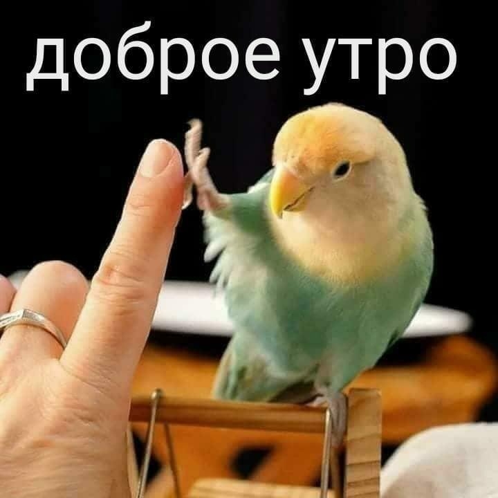 доброе утро
