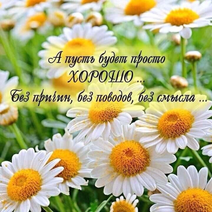 д сЯ пуст будет фото Ъі і ьХ0Р0Ш0 ёё г 933 лйиіин без поводов без штат
