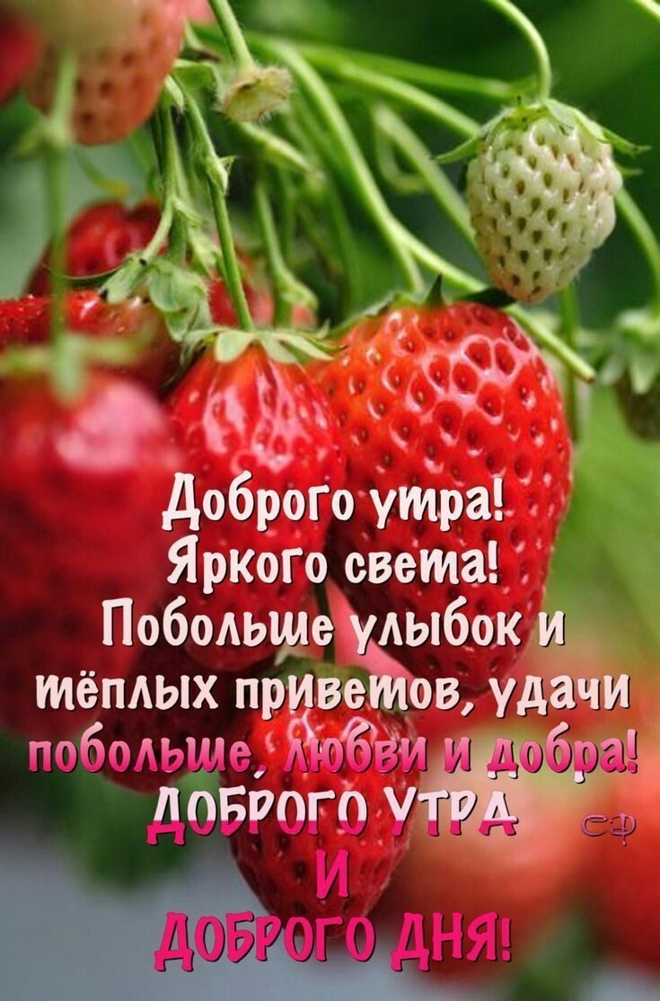 Яр кого света Побольшеумоібок тёмых пр ва вуд побОАЫМе _ ди ДОБРОЕОУ и нт