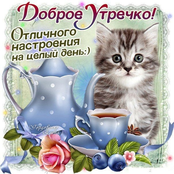 Фоброёугречкоі