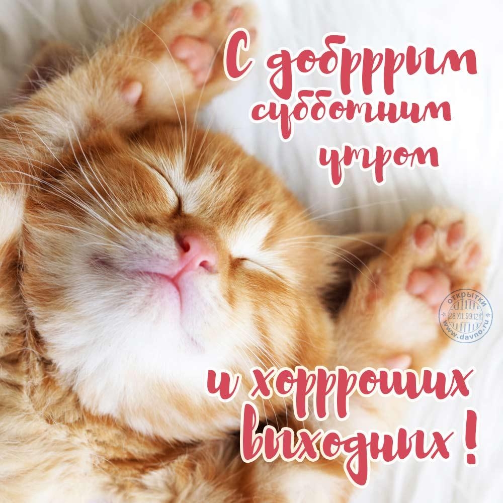 сш Э Саи т ГГЦ щ штужжа КШЧ