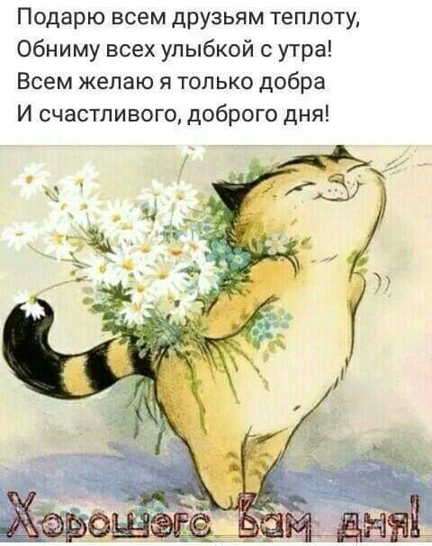 Подарю всем друзьям теплоту Обниму всех улыбкой с утра Всем желаю я только добра И счастливого доброго дня
