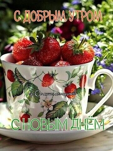 бул_ М х__4__11_ __