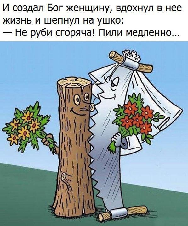 И создал Бог женщину вдохнул в нее жизнь и шепнул на ушко Не руби сгоряча Пили медленно