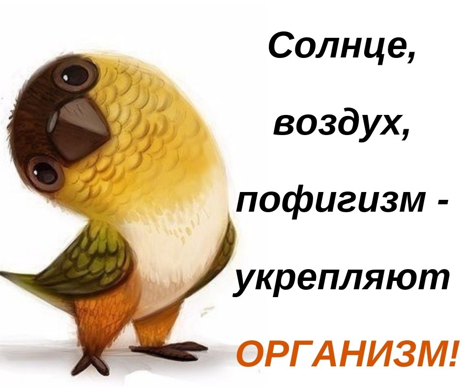 А нам это пофигу пофигу текст. Пофигу картинки. Пофигу. Мне все пофигу. Фото пофигу Мороз.