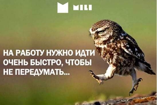 НА РАБОТУ НУЖНО идти ОЧЕНЬ БЫСТРО ЧТОБЫ НЕ ПЕРЕАУМАТЬ