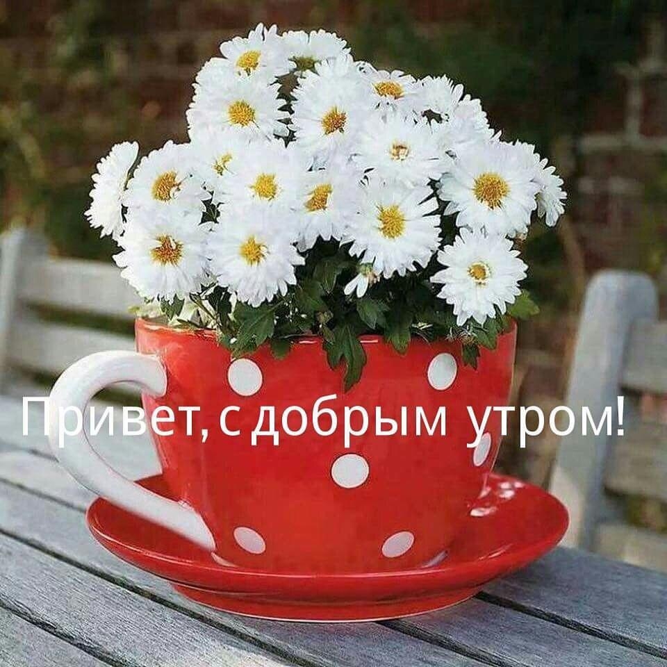 тсдобрым3 р о