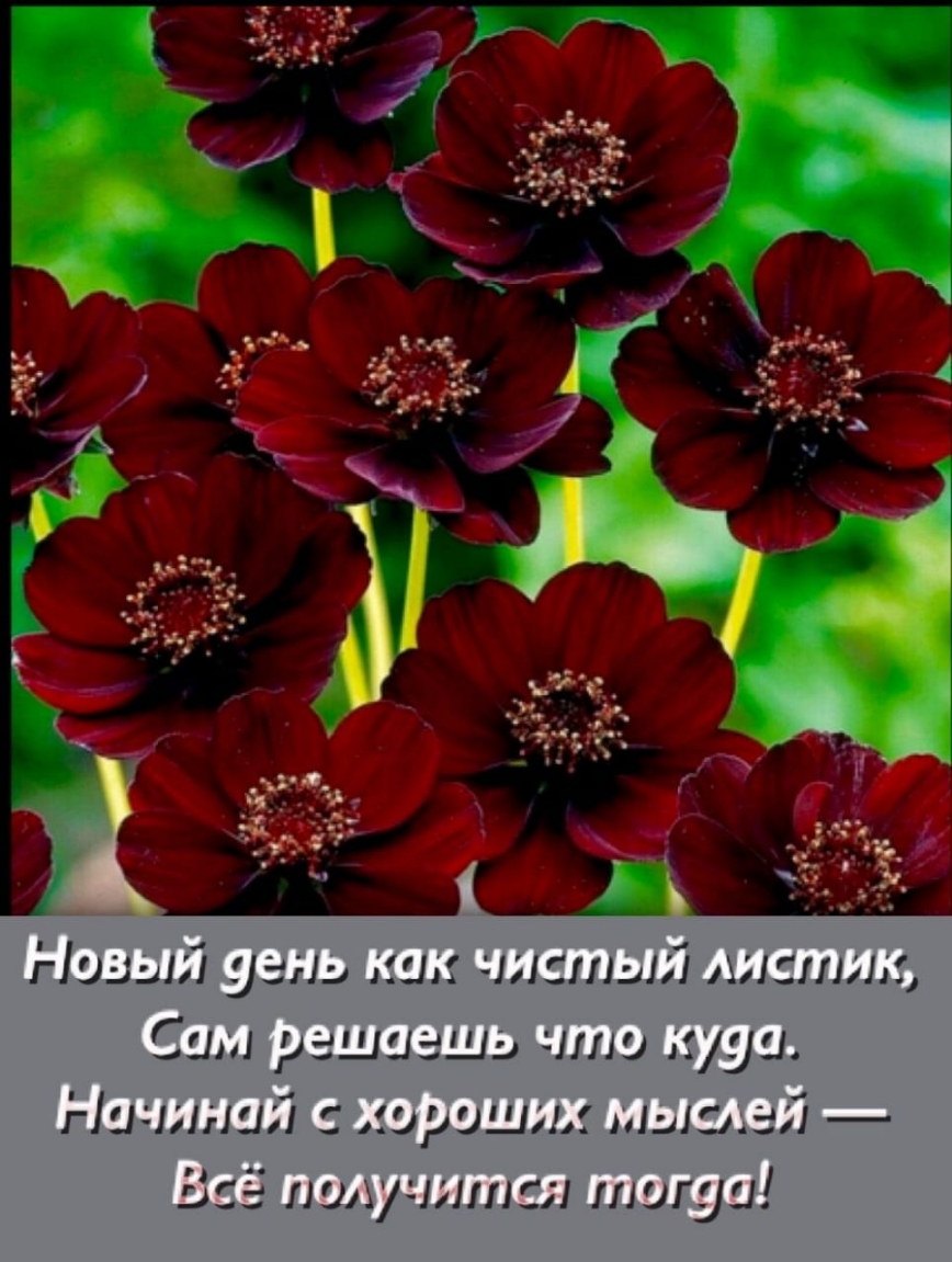 Низы угл т чистый мыслил Сим рашцзщц шш ищи Начинай эриш1ыад мтс 1 пшгуи