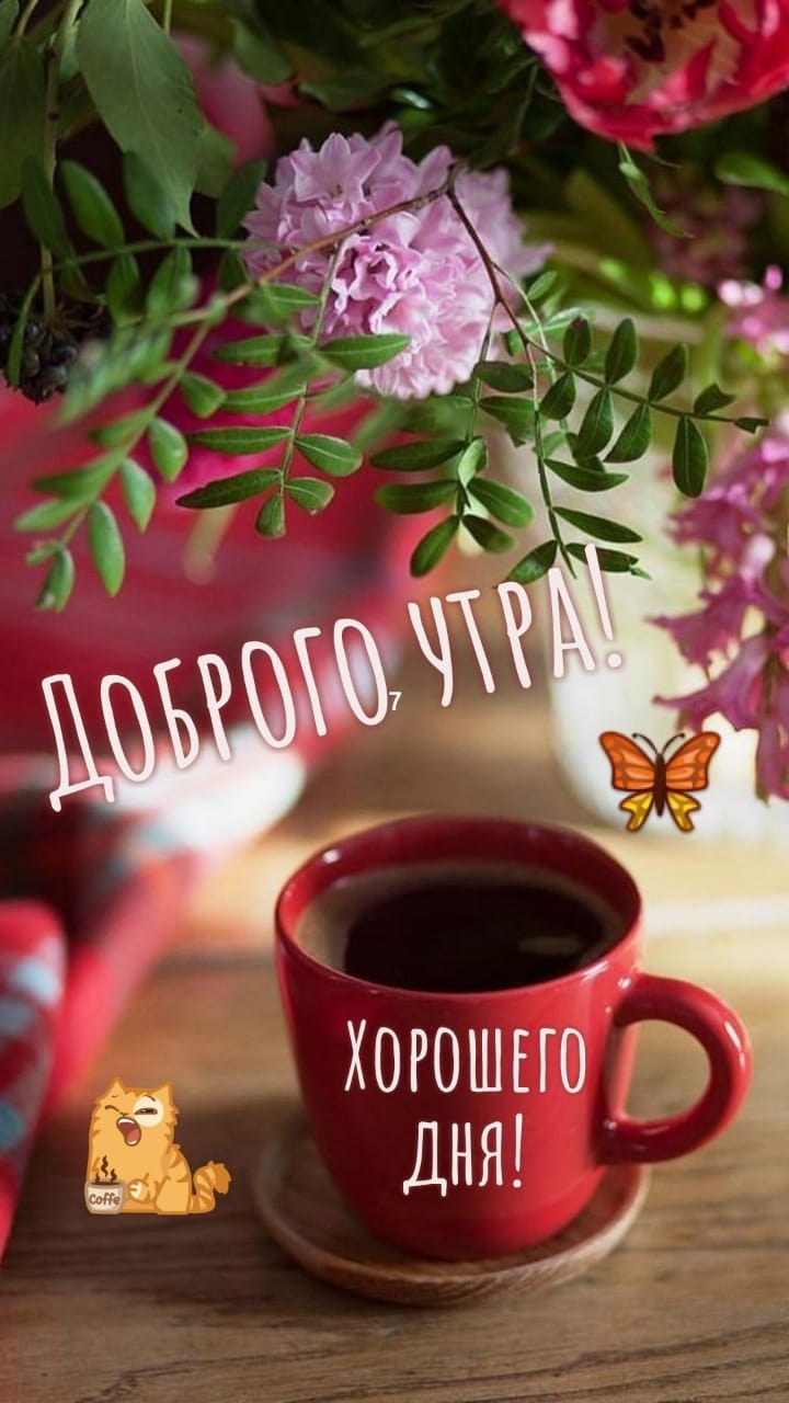 хорошие ДНЯ