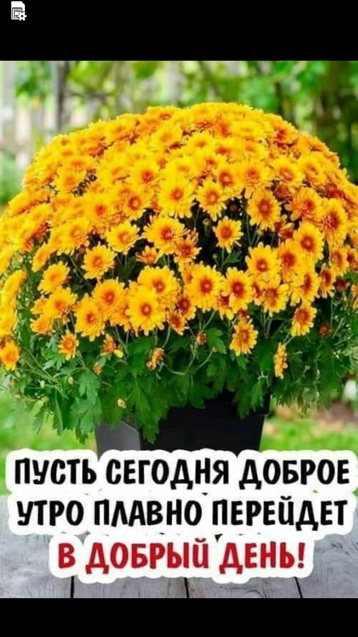 пусть сегодня довров утропмвнопврвпдвт в доврыйдвны