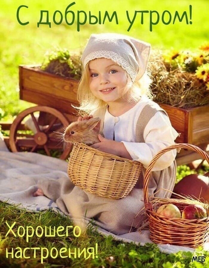 С добрым утром