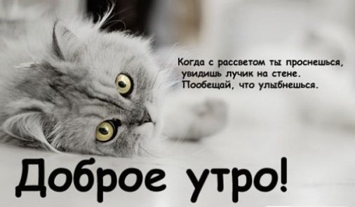 Копи рикша шыш _ ужи Мисвис тесный шоу идиш Доброе утро