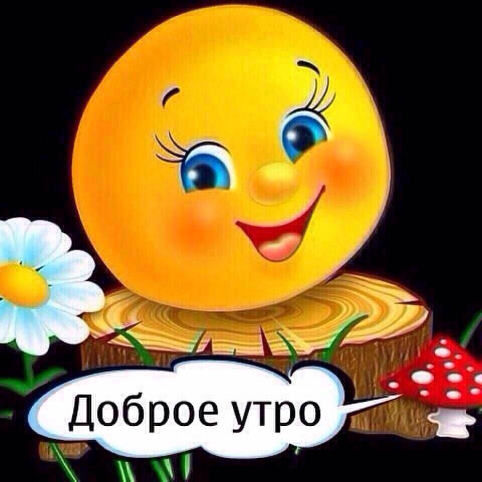 Доброе утро д