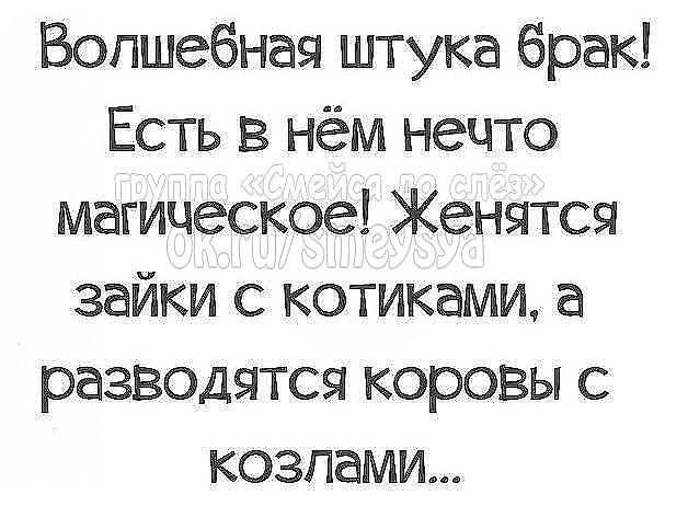 Волшебная штука брак Есть в нём нечто магическое Женятся зайки с котиками а разводятся коровы с козлами