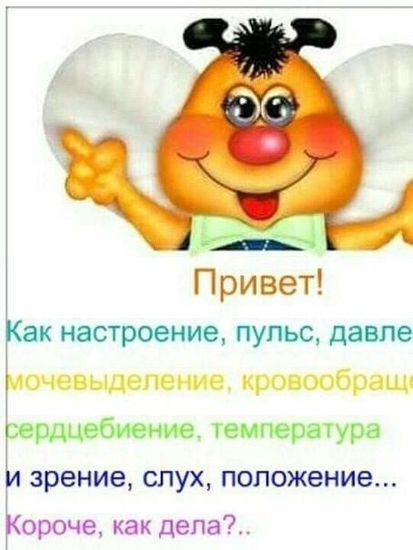 _ Привет Как настроение ПУЛЬС давпе мочевыдепение кровообращц гердцебиение емпературд И зрение СЛУХ ПОЛОЖЕНИЕ Короче как дела