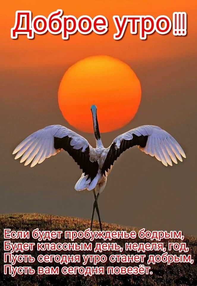 дбыщр егодня пробжденьуе бэдрыщ клаееныш Будет Мидия