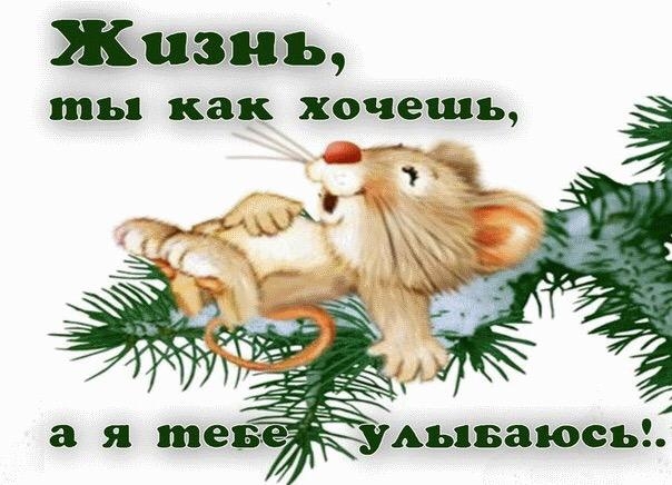 Жизнь ты как хочешь