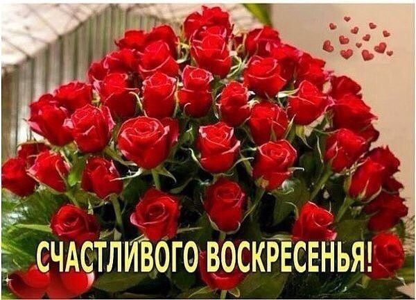 гівсвньяг тш СЧА9тй