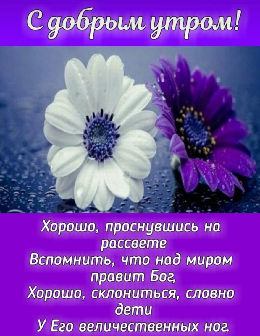 Хорошо проснувшись на рассвете Вспомнить что над миром правит Бог Хорошо склониться словно дети У Его величественных ног