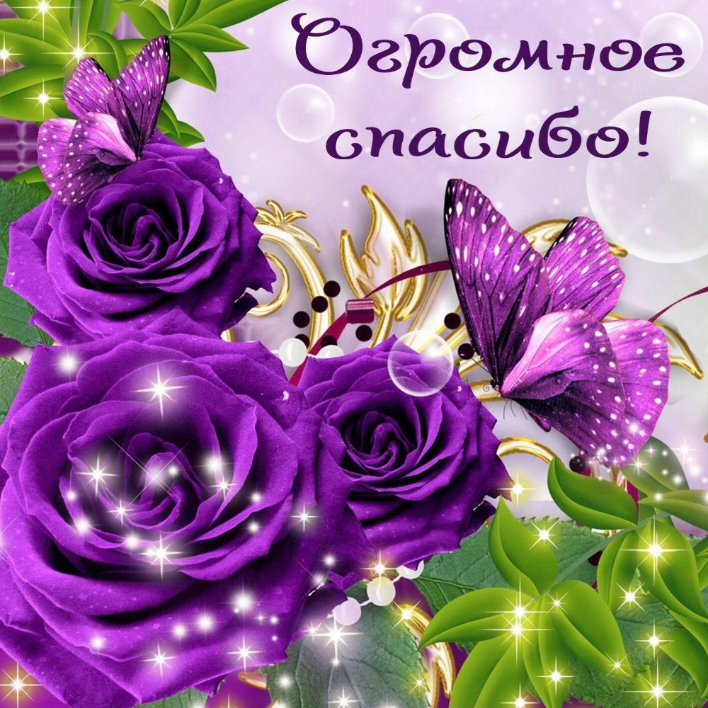 ЮЗРэиинее спасиба