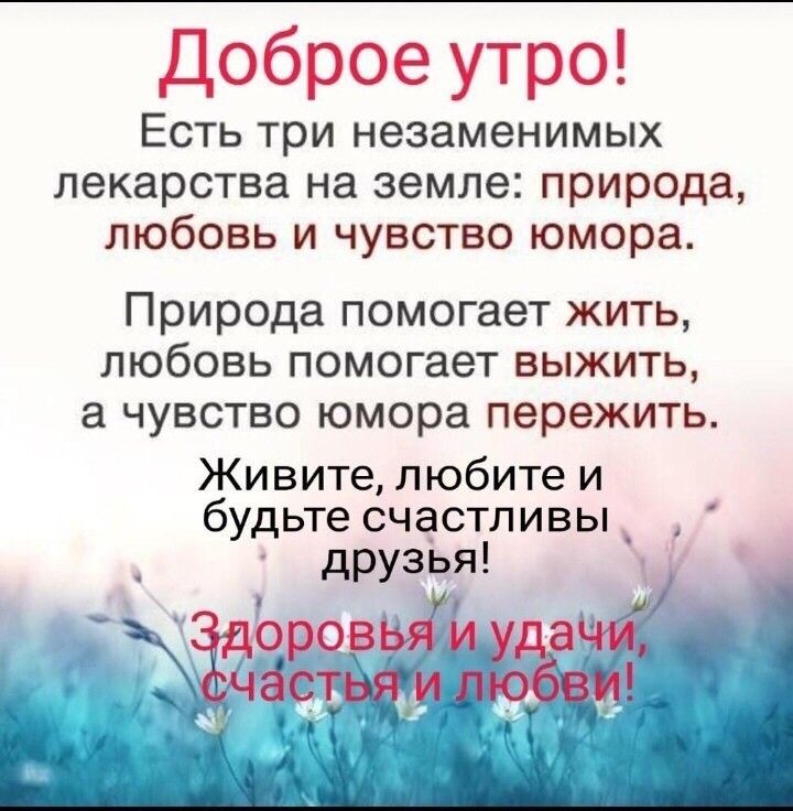 Доброе утро Есть три незаменимых лекарства на земле природа любовь и чувство юмора Природа помогает жить любовь помогает выжить а чувство юмора пережить Живите любите и будьте счастливы дРУЗЬЯ чаёзьёіжъ __Ш