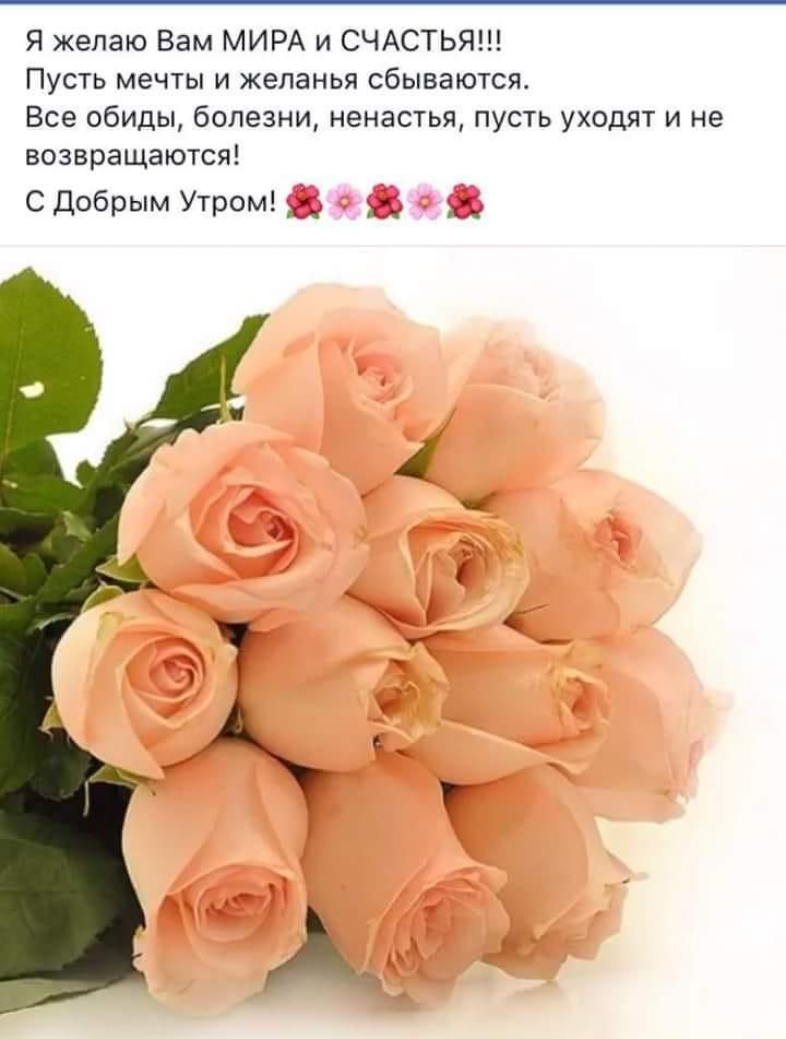 Я желаю Вам МИРА и СЧАСТЬЯ Пусть мечты и желанья сбываются Все обиды болезни ненастья пусть уходят и не возвращаются сдобрым Утром гм