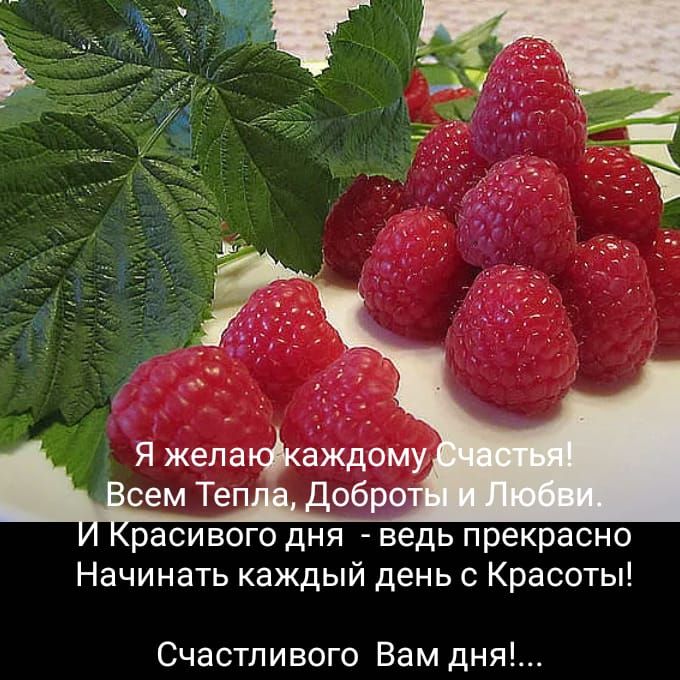 Я желафаждомуу сем Теп обр_ расивого дня ведь прекрасно Начинать каждый день с Красоты Счастливого Вам дня