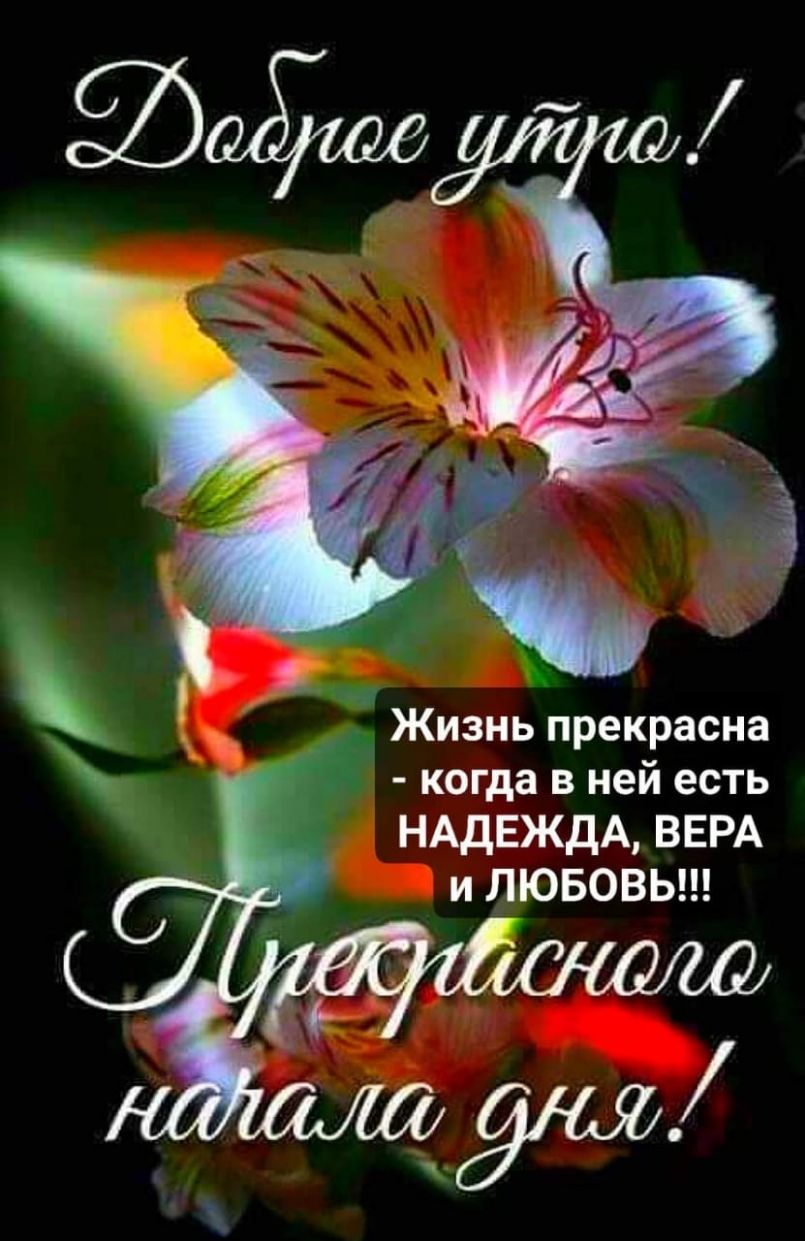 Ё Жизнь прекрасна когда в ней есть НАДЕЖДА ВЕРА и ЛЮБОВЬ