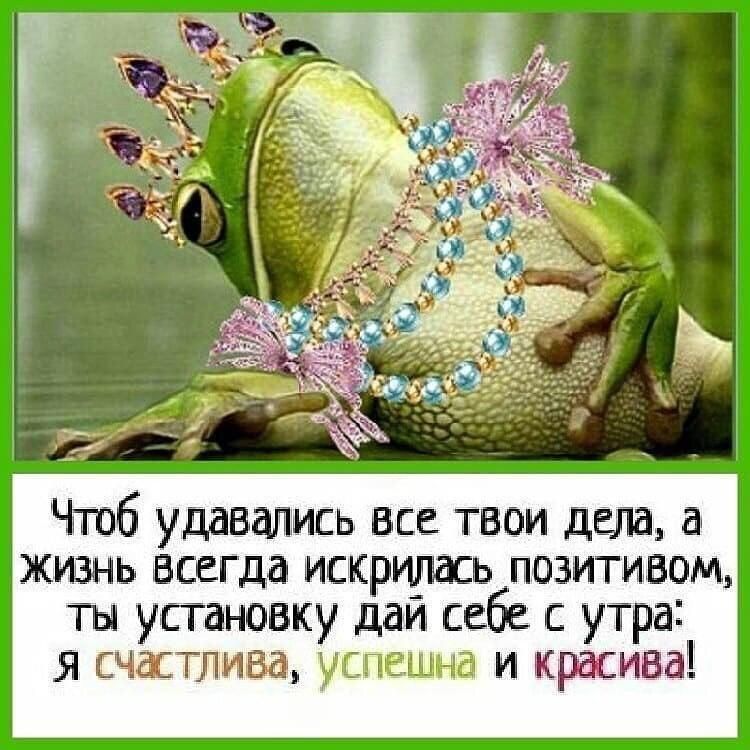 ЧТОБ удавапмсь все твои дата жизнь всегда искридась пазитивом ТЫ установку дан себе с утра я счастлива успешна и красива