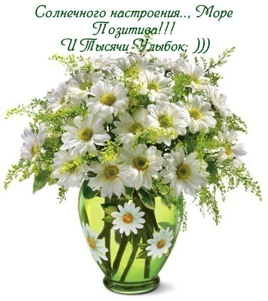Солнечного настроения торе 51703 ити 11 ПСЙысячи ЧЁЪЕЫЁ